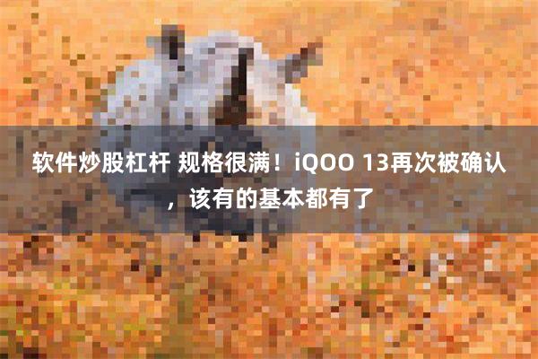 软件炒股杠杆 规格很满！iQOO 13再次被确认，该有的基本都有了