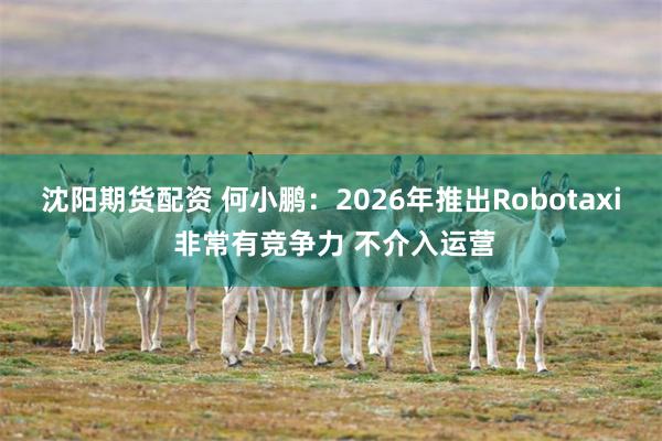 沈阳期货配资 何小鹏：2026年推出Robotaxi 非常有竞争力 不介入运营