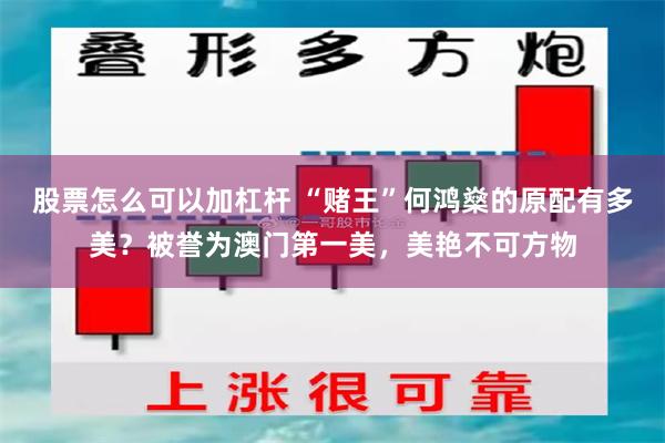 股票怎么可以加杠杆 “赌王”何鸿燊的原配有多美？被誉为澳门第一美，美艳不可方物