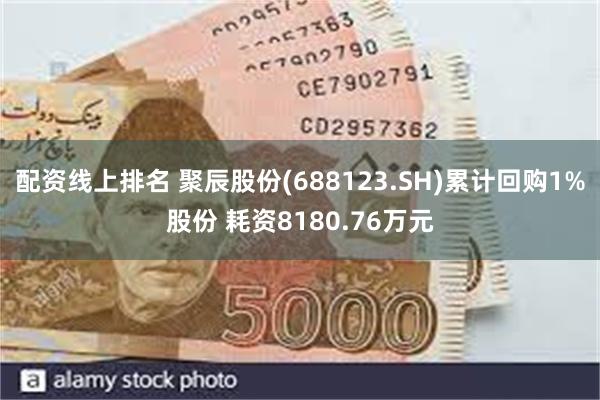 配资线上排名 聚辰股份(688123.SH)累计回购1%股份 耗资8180.76万元