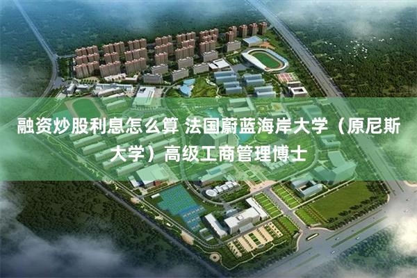 融资炒股利息怎么算 法国蔚蓝海岸大学（原尼斯大学）高级工商管理博士