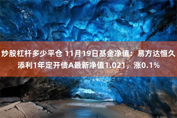 炒股杠杆多少平仓 11月19日基金净值：易方达恒久添利1年定开债A最新净值1.021，涨0.1%