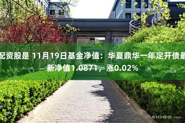 配资股是 11月19日基金净值：华夏鼎华一年定开债最新净值1.0871，涨0.02%