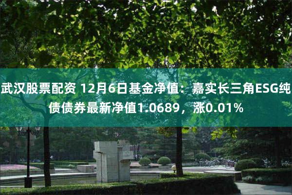 武汉股票配资 12月6日基金净值：嘉实长三角ESG纯债债券最新净值1.0689，涨0.01%