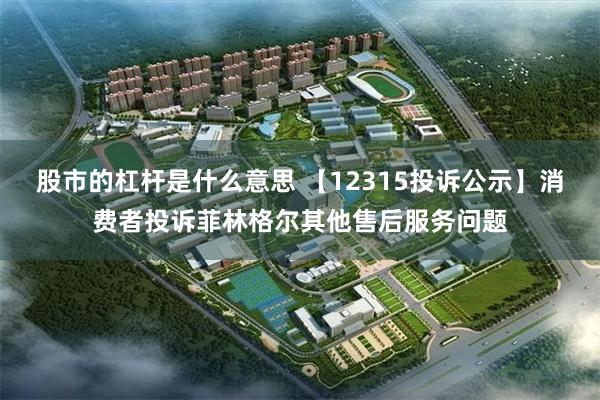 股市的杠杆是什么意思 【12315投诉公示】消费者投诉菲林格尔其他售后服务问题