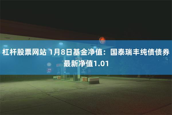 杠杆股票网站 1月8日基金净值：国泰瑞丰纯债债券最新净值1.01