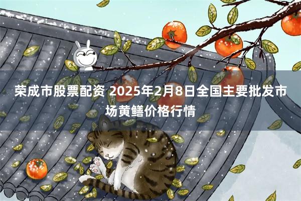 荣成市股票配资 2025年2月8日全国主要批发市场黄鳝价格行情