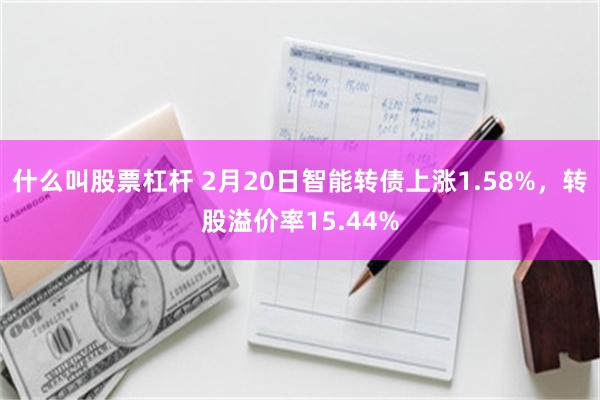 什么叫股票杠杆 2月20日智能转债上涨1.58%，转股溢价率15.44%