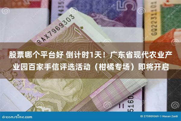 股票哪个平台好 倒计时1天！广东省现代农业产业园百家手信评选活动（柑橘专场）即将开启